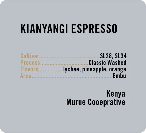 Apollon's Gold Kianyangi Espresso cafea boabe 100g Kenya